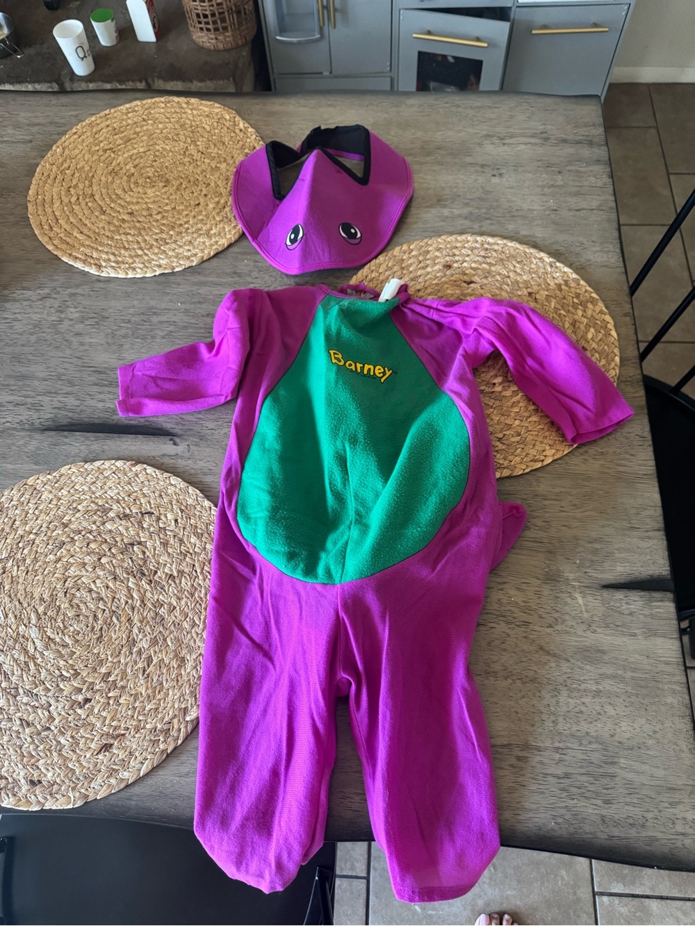 Vintage Barney's costume